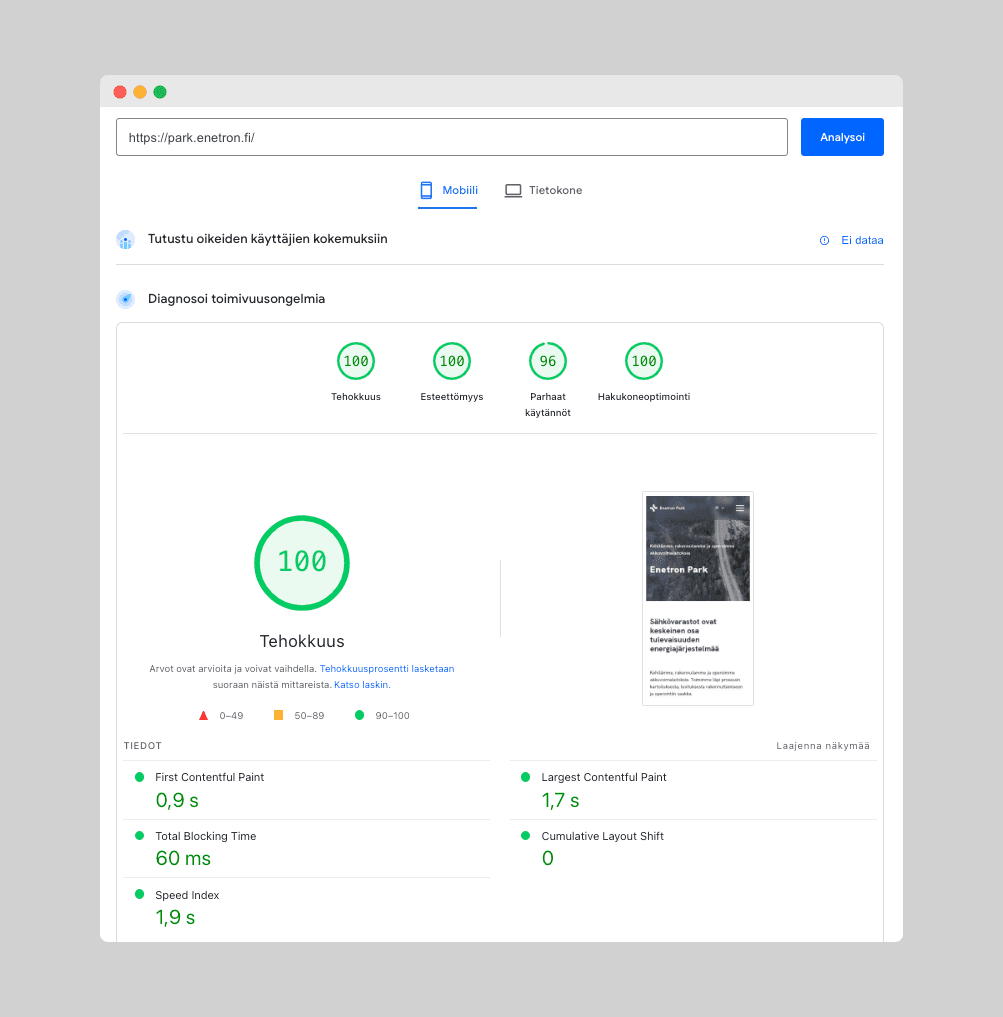 Kuva Google Pagespeedin mobiilin suorituskykyraportista